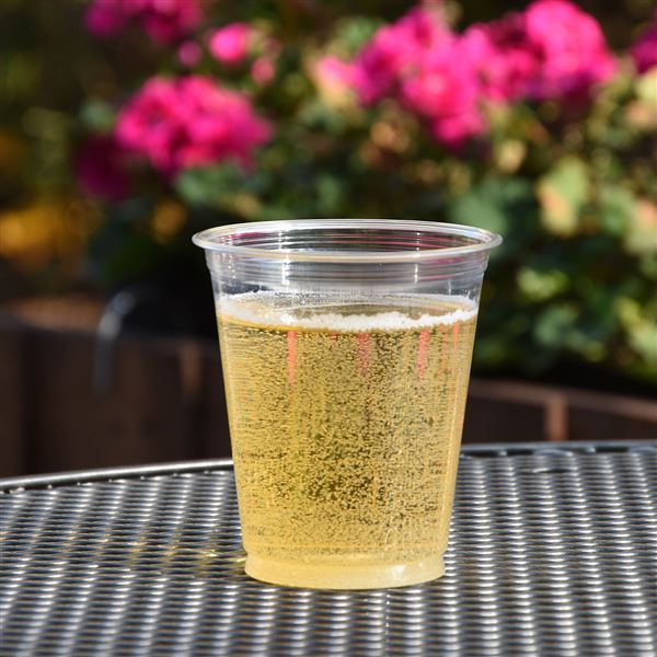 Téglik transparentný z PET 0,3 l (50 ks)